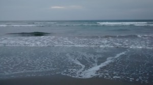 IMG_20150311_081240210